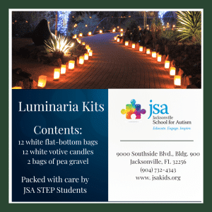 Light Up Autism Luminary Project